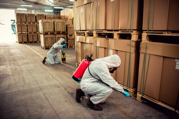 Best Pest Inspection Near Me  in River Oaks, TX