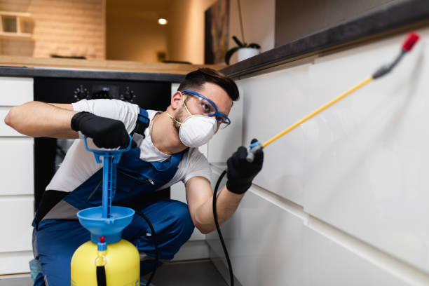 Best Emergency Pest Control  in River Oaks, TX