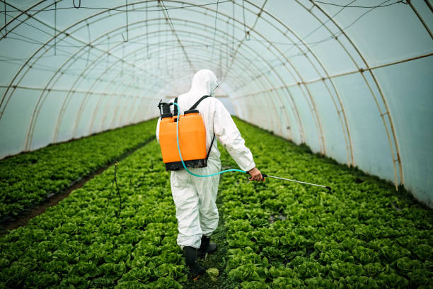 Professional Pest Control in River Oaks, TX