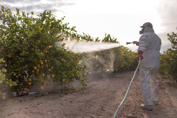 Best Mosquito Control Services  in River Oaks, TX
