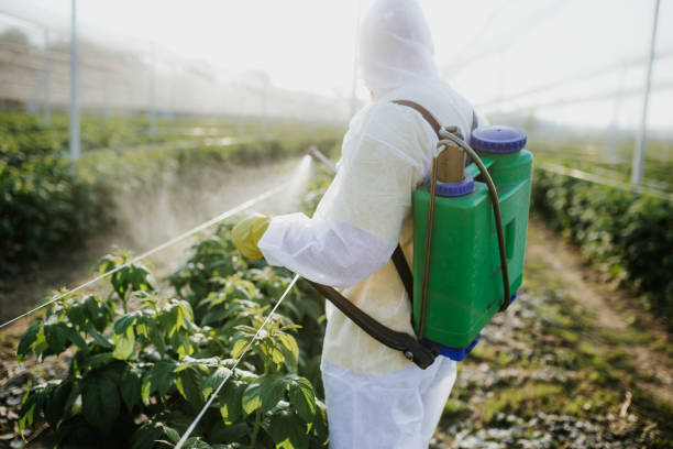 Best Mosquito Control Services  in River Oaks, TX